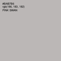 #BAB7B6 - Pink Swan Color Image